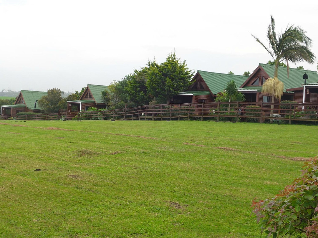 The Dolphin Trail-暴风河必去景点