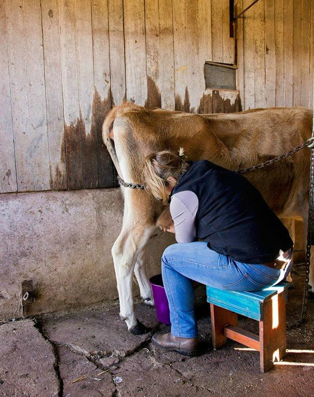 Paddock to Potager-图沃柏必去景点