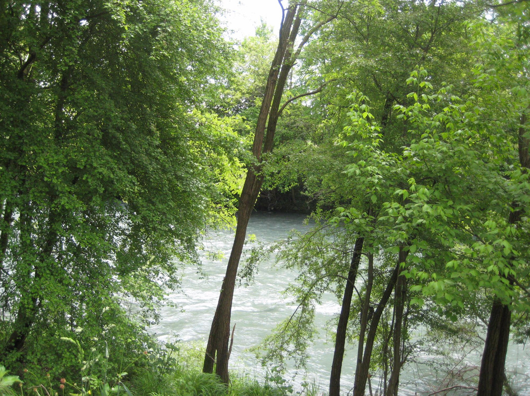 Parco Agronaturale della Dora Riparia-科莱尼奥必去景点