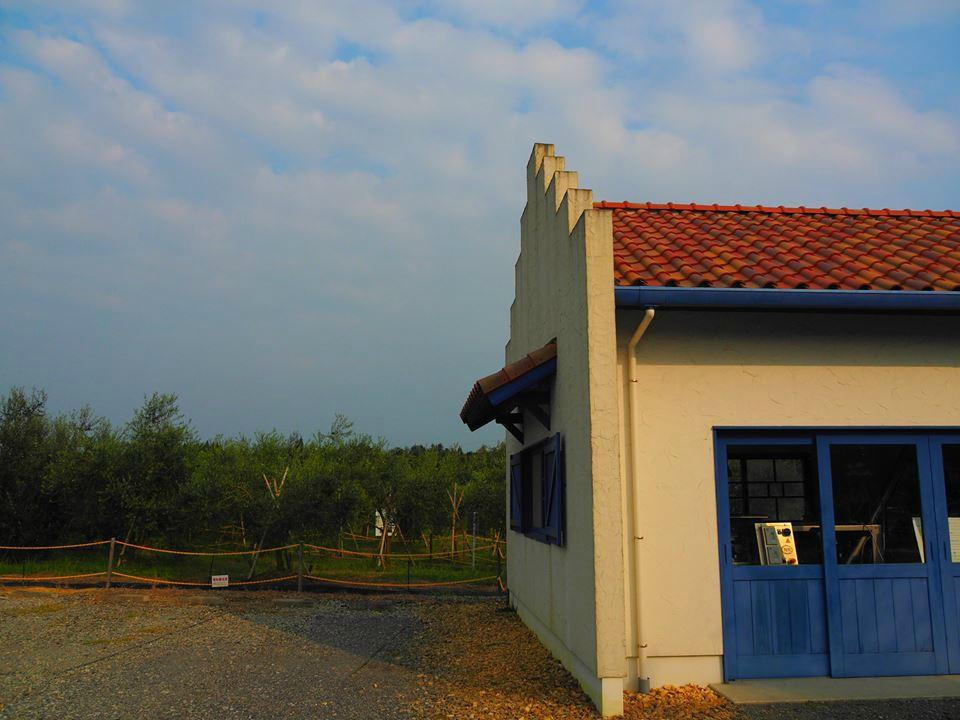 Amakusa Olive Garden Avilo-天草市必去景点