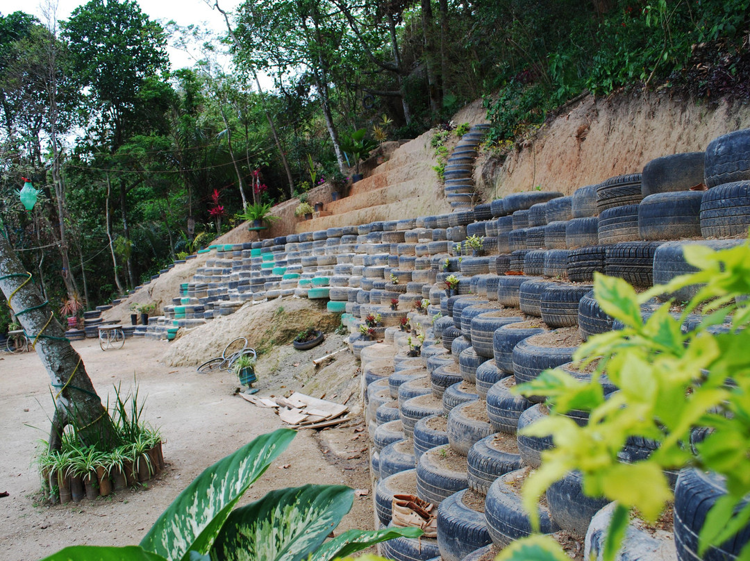 Parque e Instituto Sitiê-里约热内卢必去景点