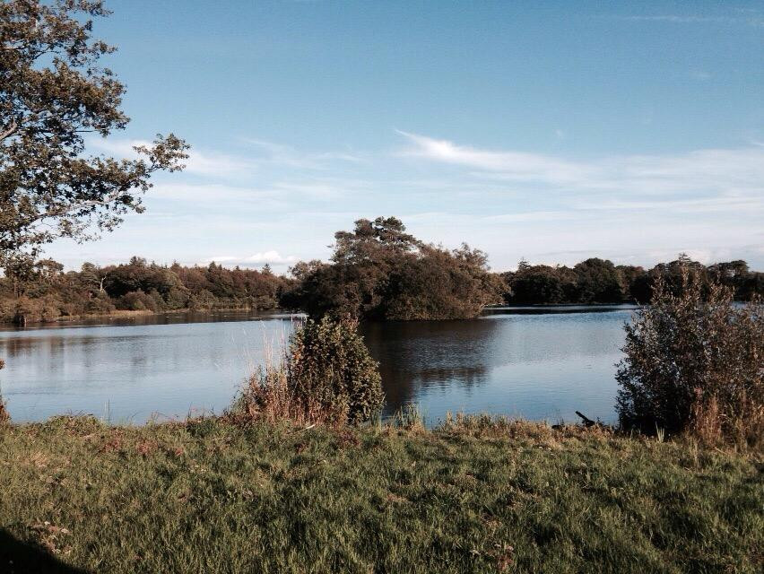Glasfryn Parc Holiday Cottages