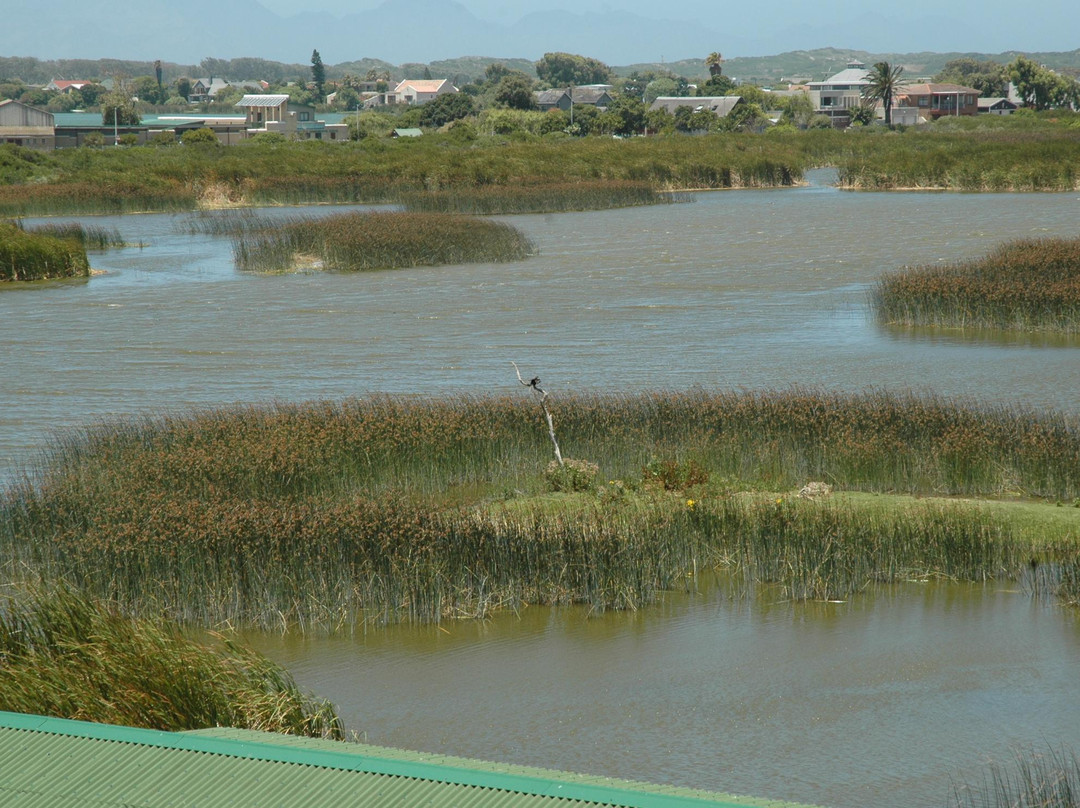 Rondevlei Nature Reserve-开普敦中心区必去景点