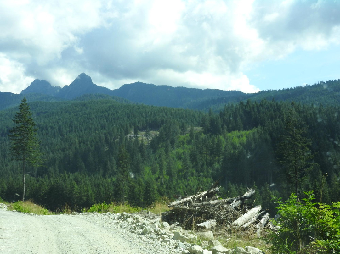 Malcolm Knapp Research Forest-枫树岭必去景点