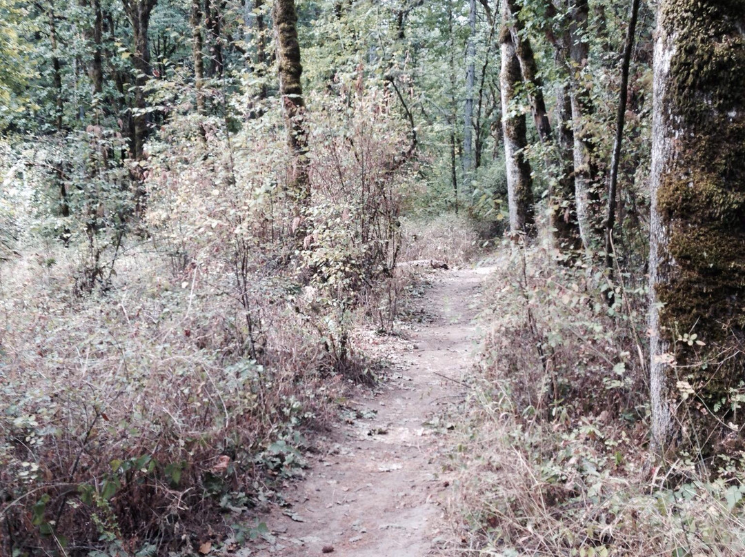 Mount Talbert Nature Park-Clackamas必去景点