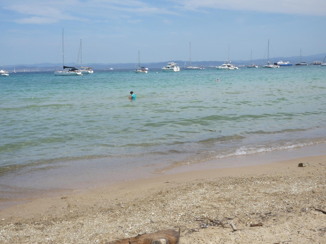 Plage de la Courtade-Porquerolles Island必去景点