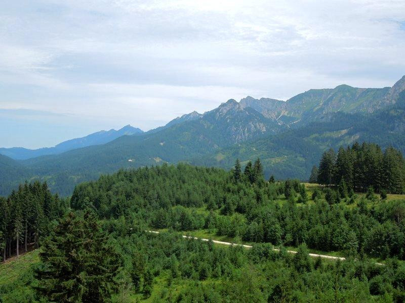 Buchenbergbahn-Buching必去景点