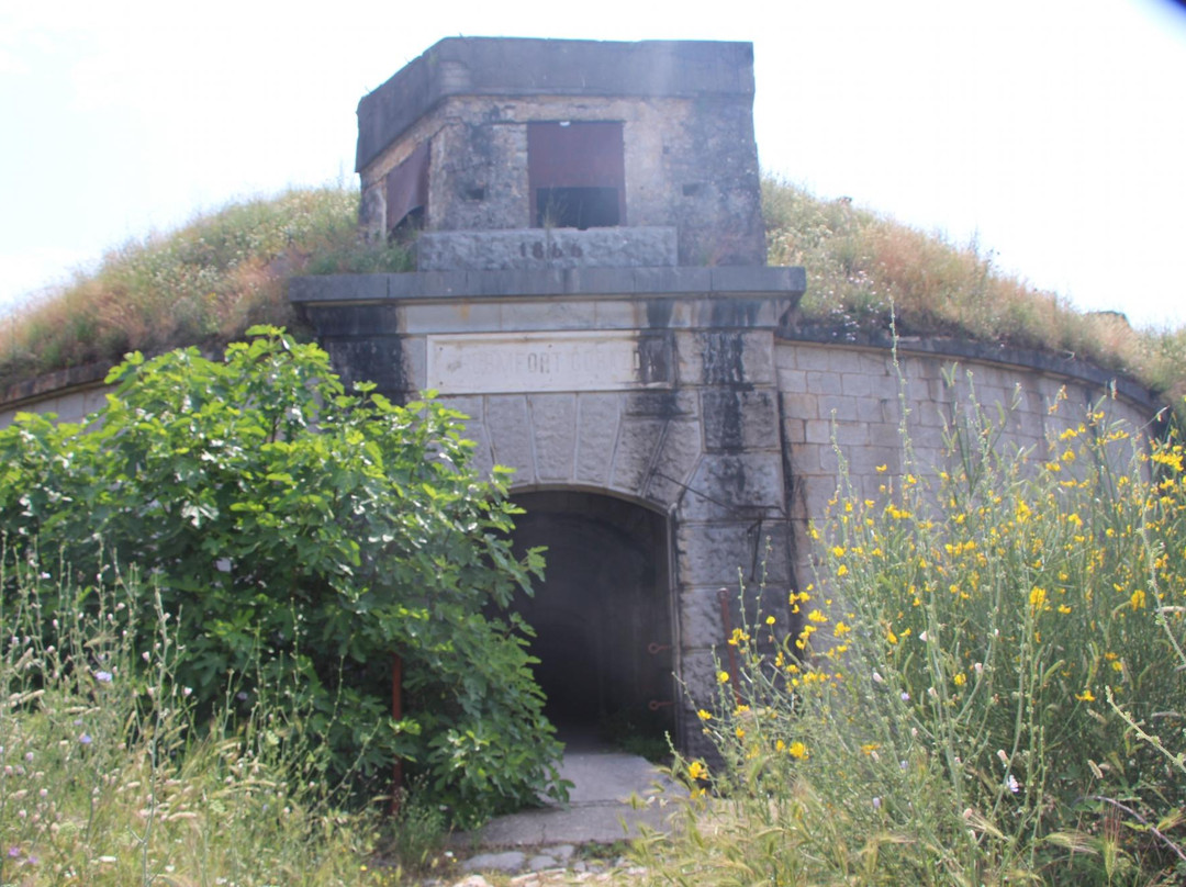 Fort Gorazda-Skaljari必去景点