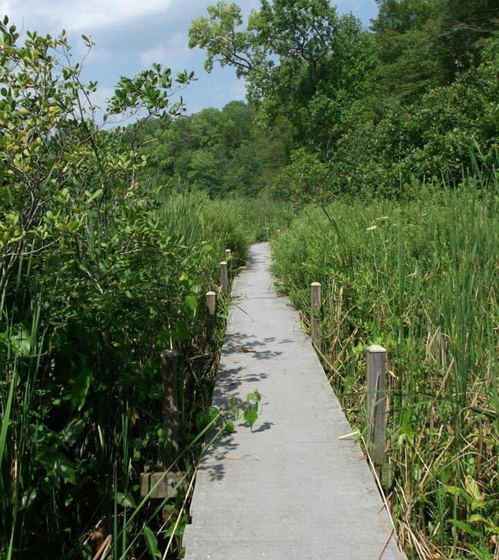Jug Bay Wetlands Sanctuary景点图片