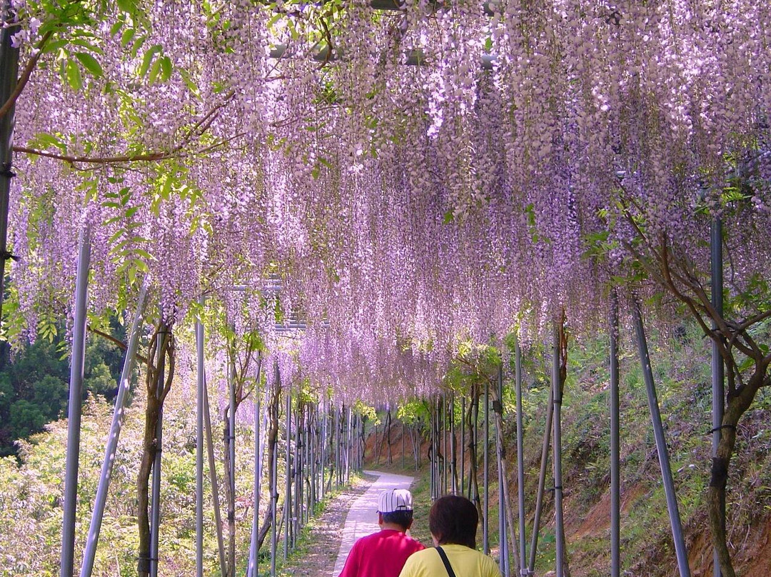 Miyama no Sato Shinrin Park-日高川町必去景点