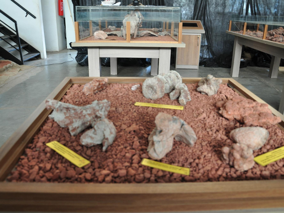 Museum Aristides Carlos Rodrigues-Candelaria必去景点