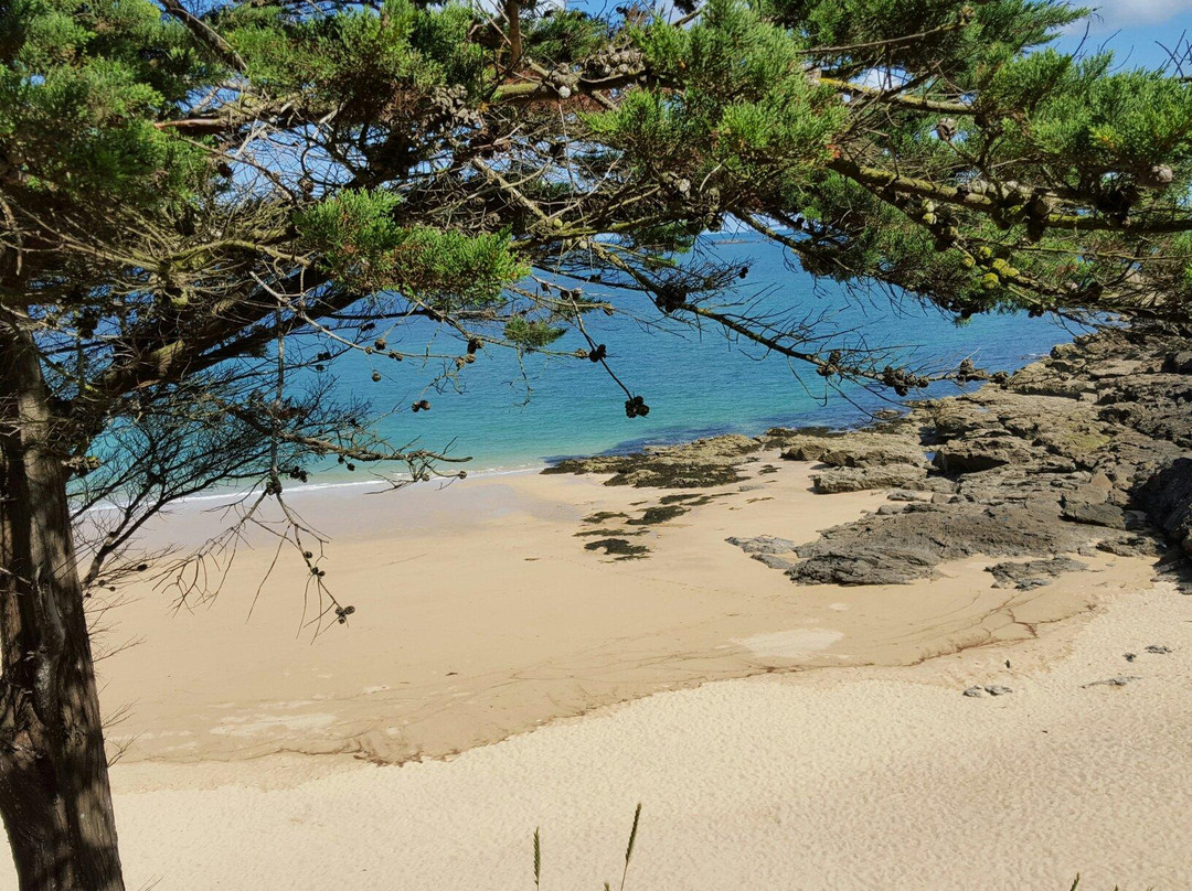 Plage de la Touesse景点图片