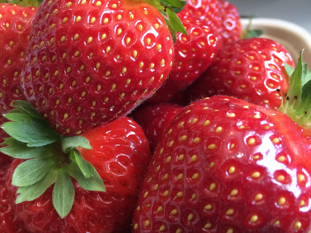 Nature's Pickin's Market景点图片