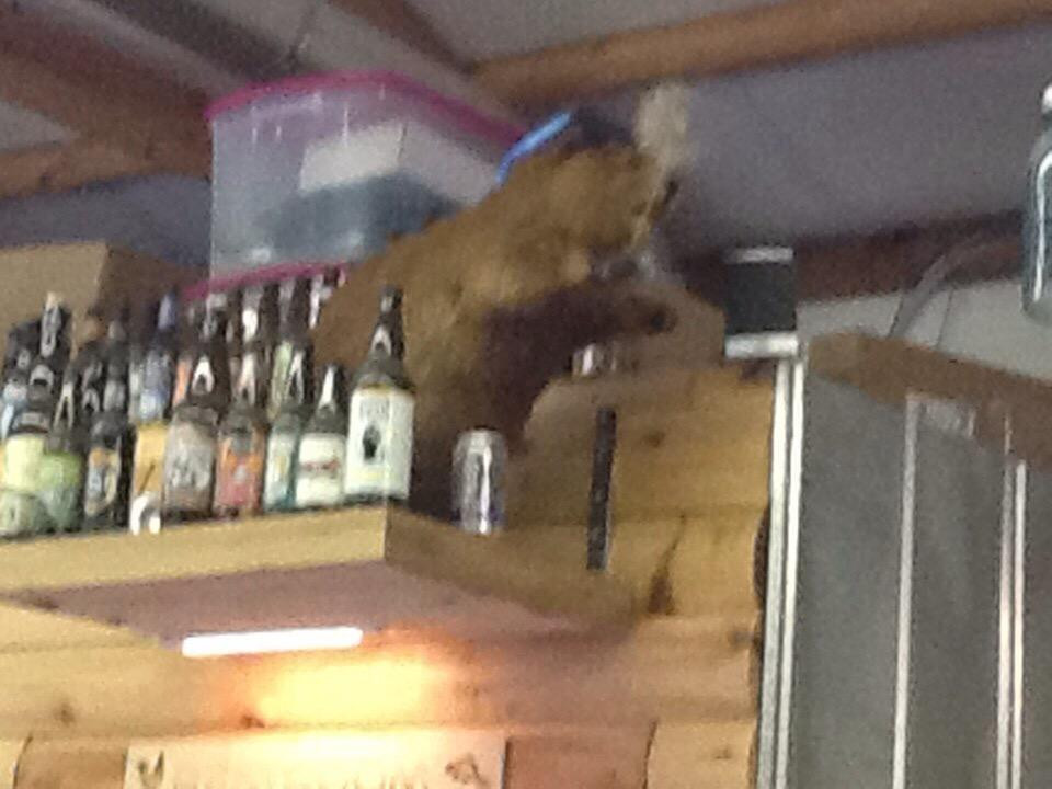 Damascus Brewery-Damascus必去景点