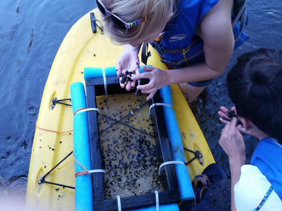 Peace River Paddle Sports & Kuleana Adventures - Day Trips-Wauchula必去景点