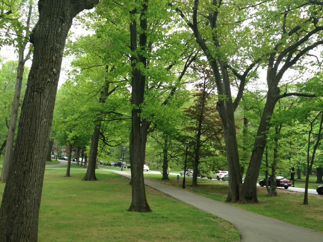 Brookdale Park景点图片