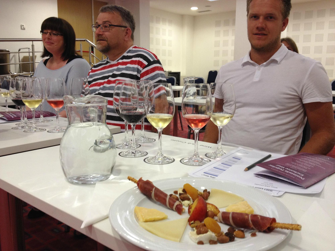 Wine Club Croatia-玛卡沙必去景点