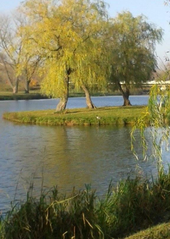 Loshitskiy Park-明斯克必去景点