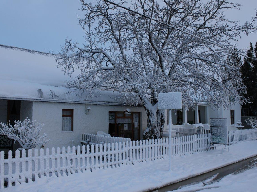 Kambrokind Guesthouse & Middelfontein Farm