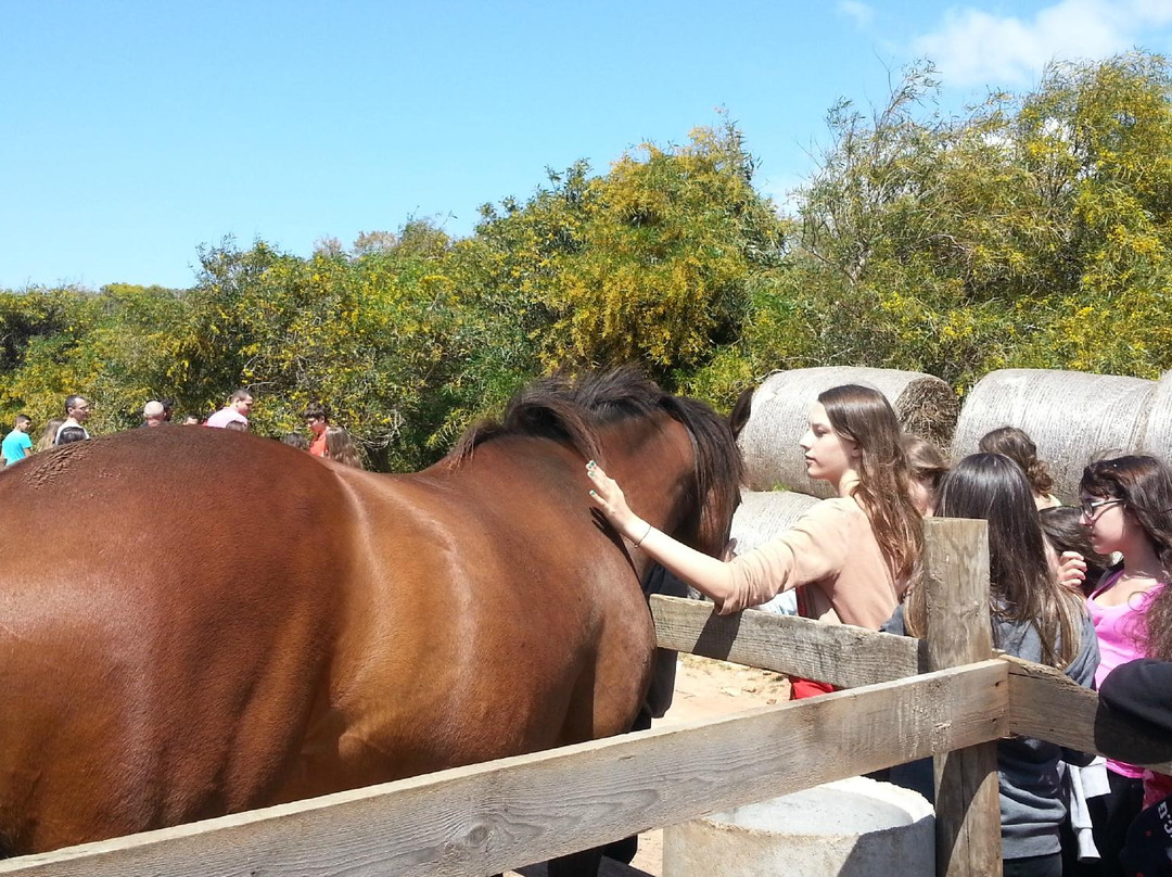 Exploralghero-阿尔盖罗必去景点