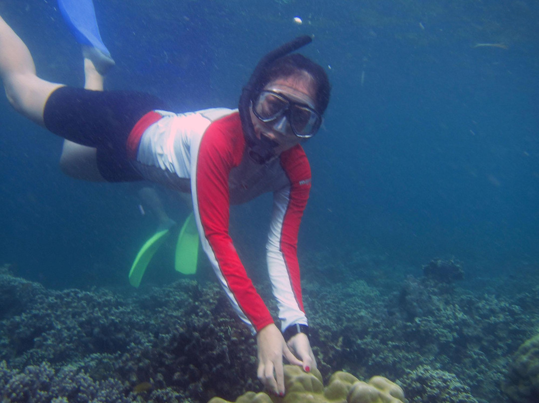 Pahawang Island-班达楠榜必去景点