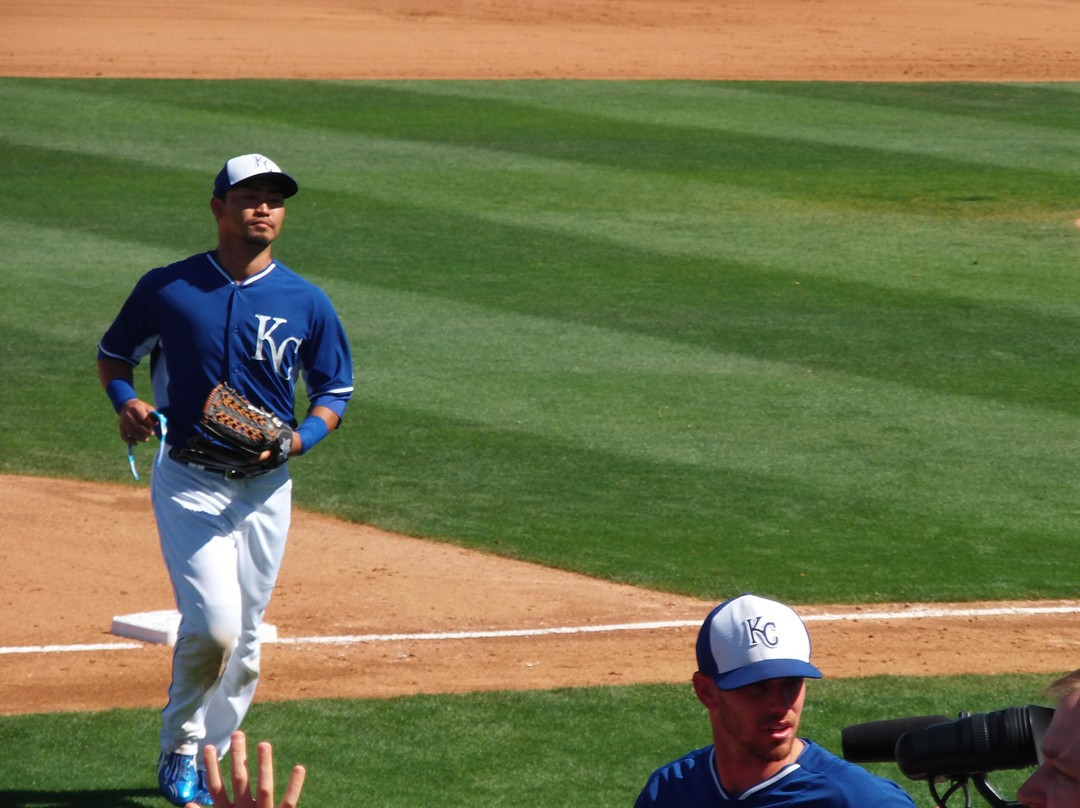 Arizona Cactus League-梅萨必去景点