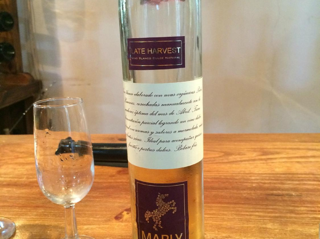 Bodegas Y Vinedos Fabril Alto Verde-Pocito必去景点