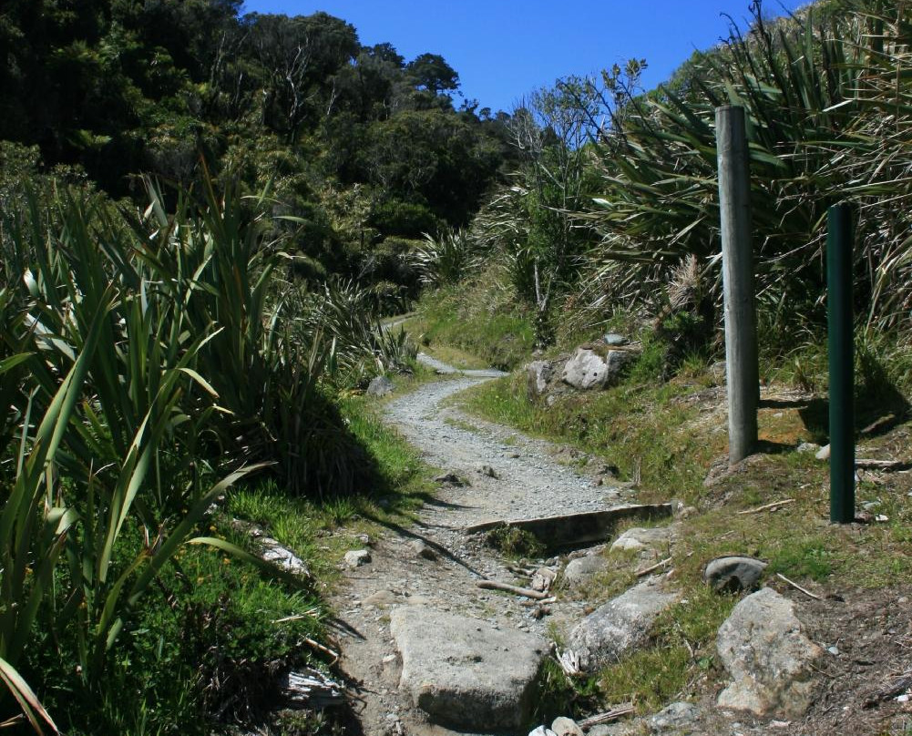 Wharekai Te Kou景点图片