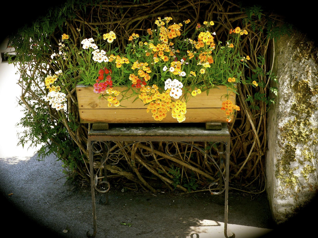 The Falcon Inn主图