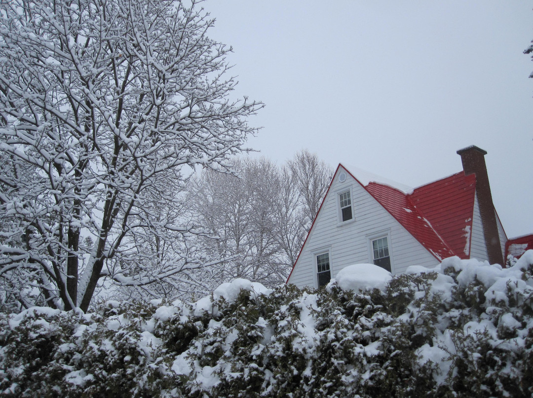 La Maison Du Capitaine主图