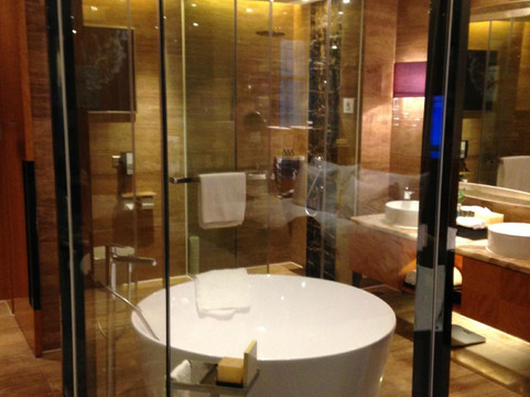 杭州雷迪森铂丽大饭店主图