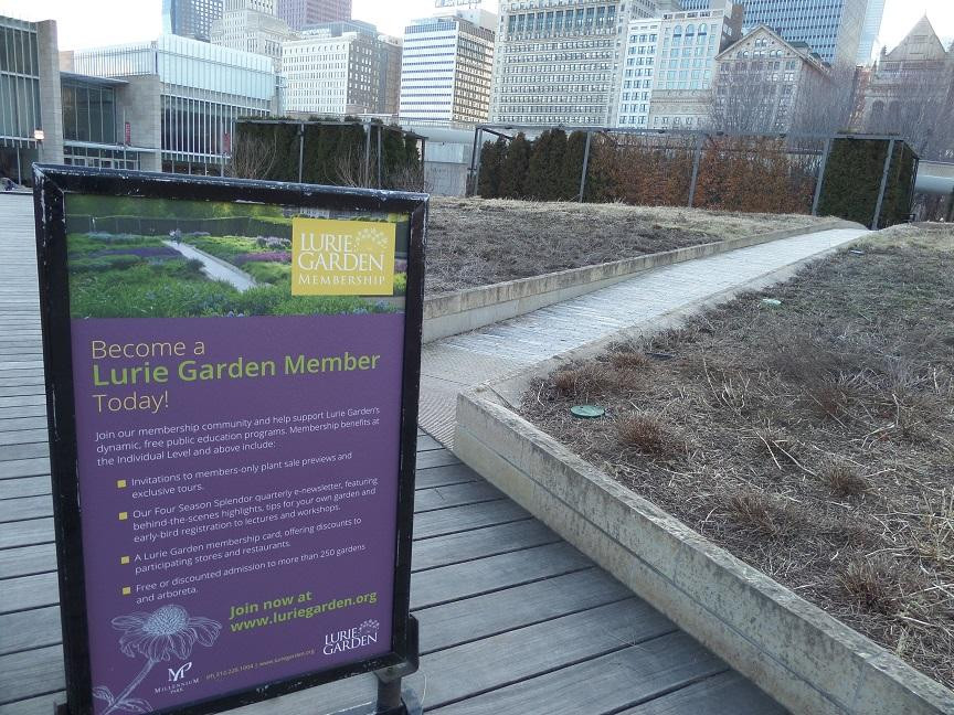 Lurie Garden景点图片