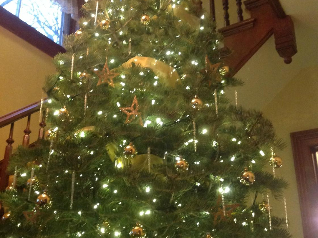 White Swan Inn Bed & Breakfast主图