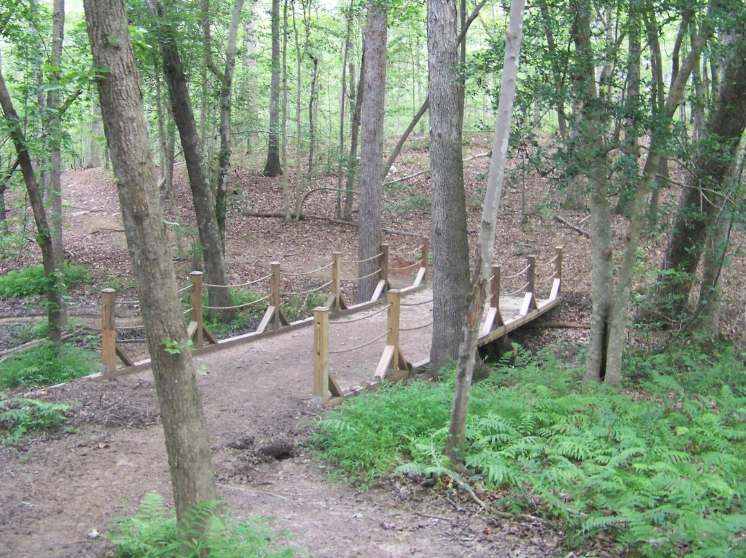 Happy Trails Farm - Private Trail Rides景点图片