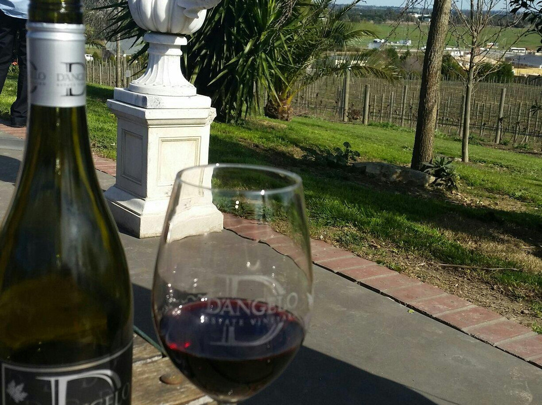 D'Angelo Estate Vineyard景点图片