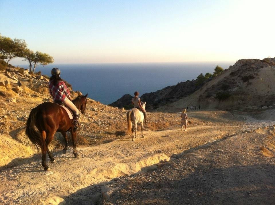 Alexandros Riding Stables