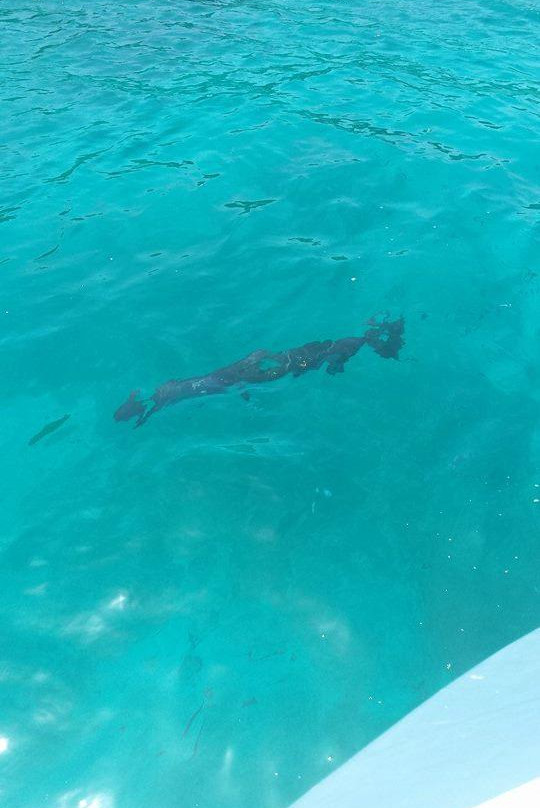 Jester Sailing Adventures-圣 托马斯必去景点