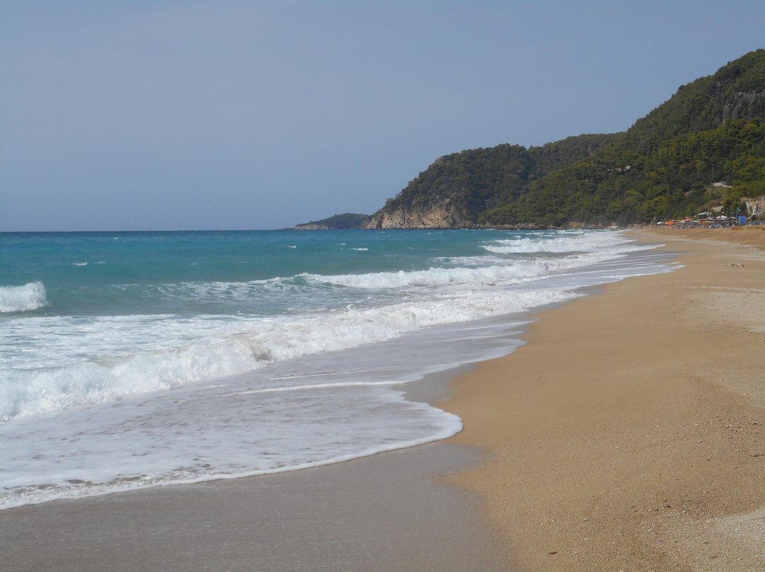 Loutsa Beach-Loutsa必去景点