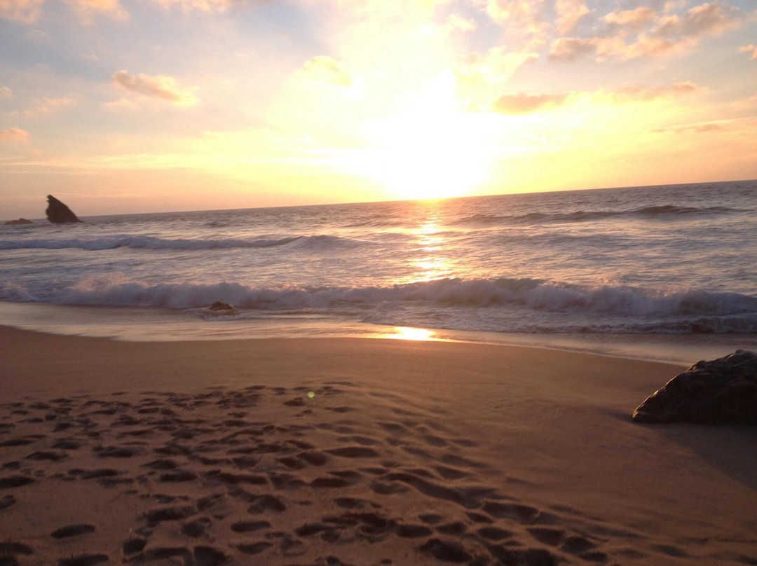 Praia da Adraga景点图片