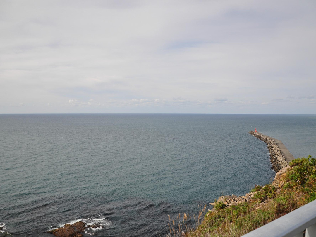 Enrumu Misaki Park Observatory-样似町必去景点