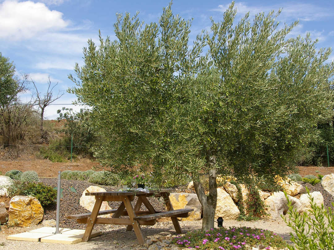 Moulin du Mont Ramus景点图片