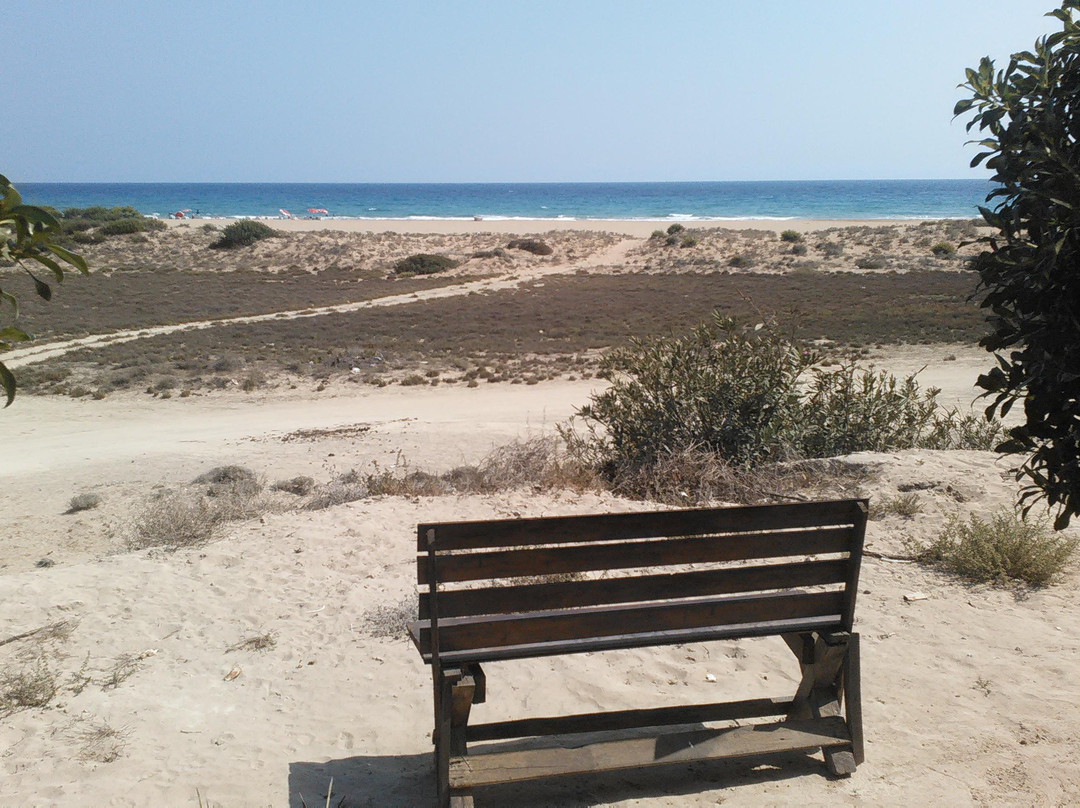 Altınkum Plajı-Dipkarpaz必去景点