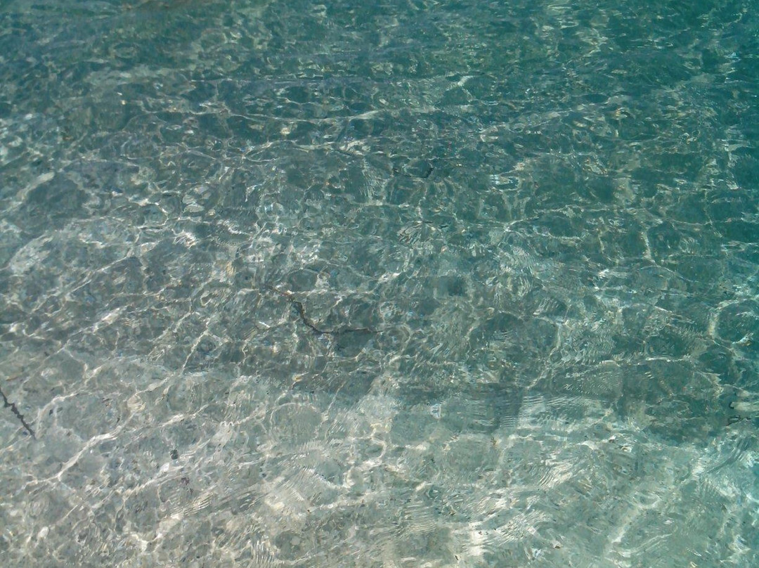 Spiaggia Pazzona-斯廷蒂诺必去景点