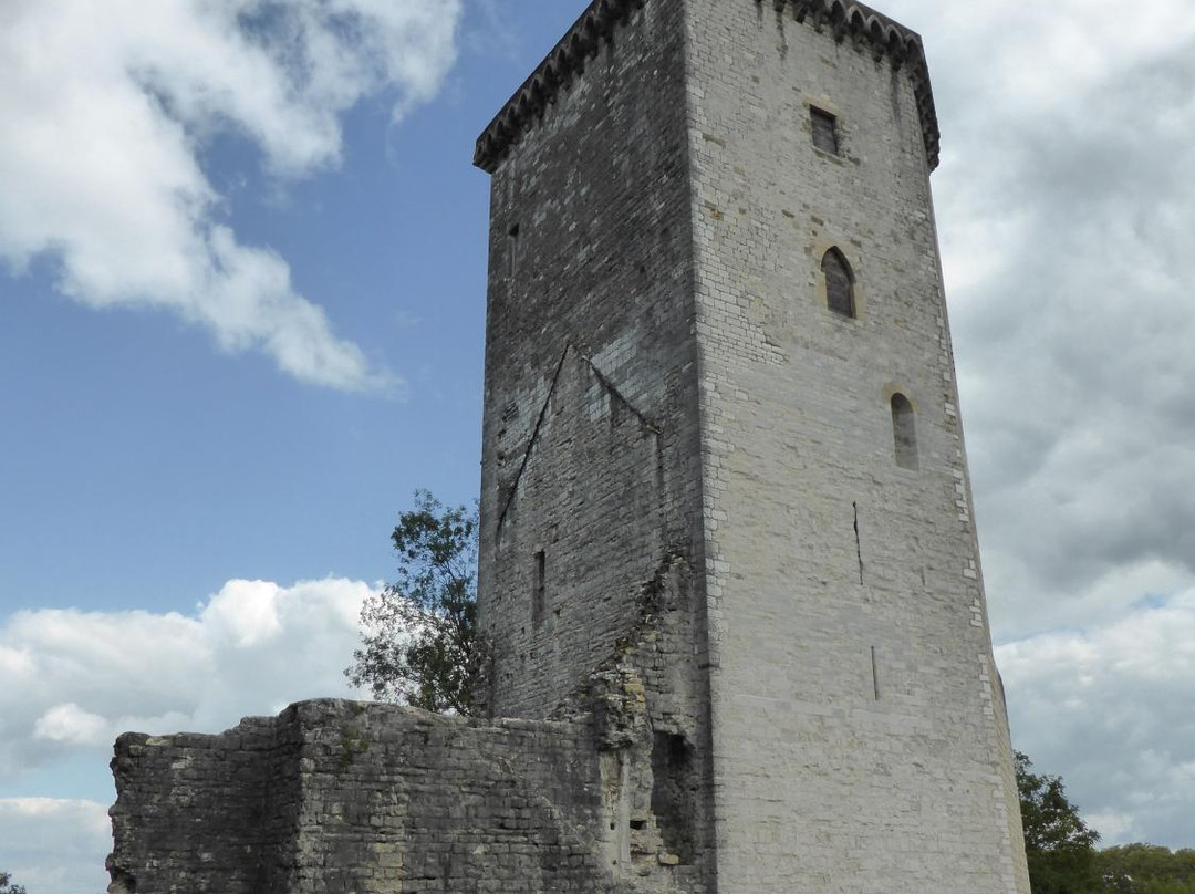 Chateau Moncade景点图片