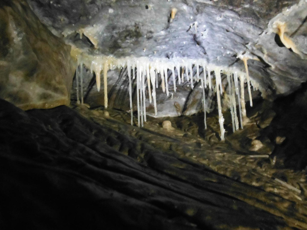 Grotte de Balme景点图片