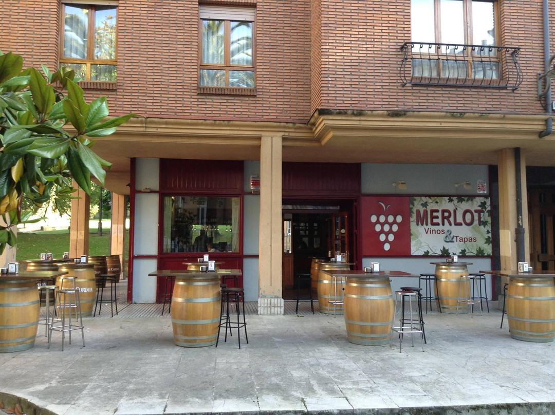 Merlot vinos y tapas