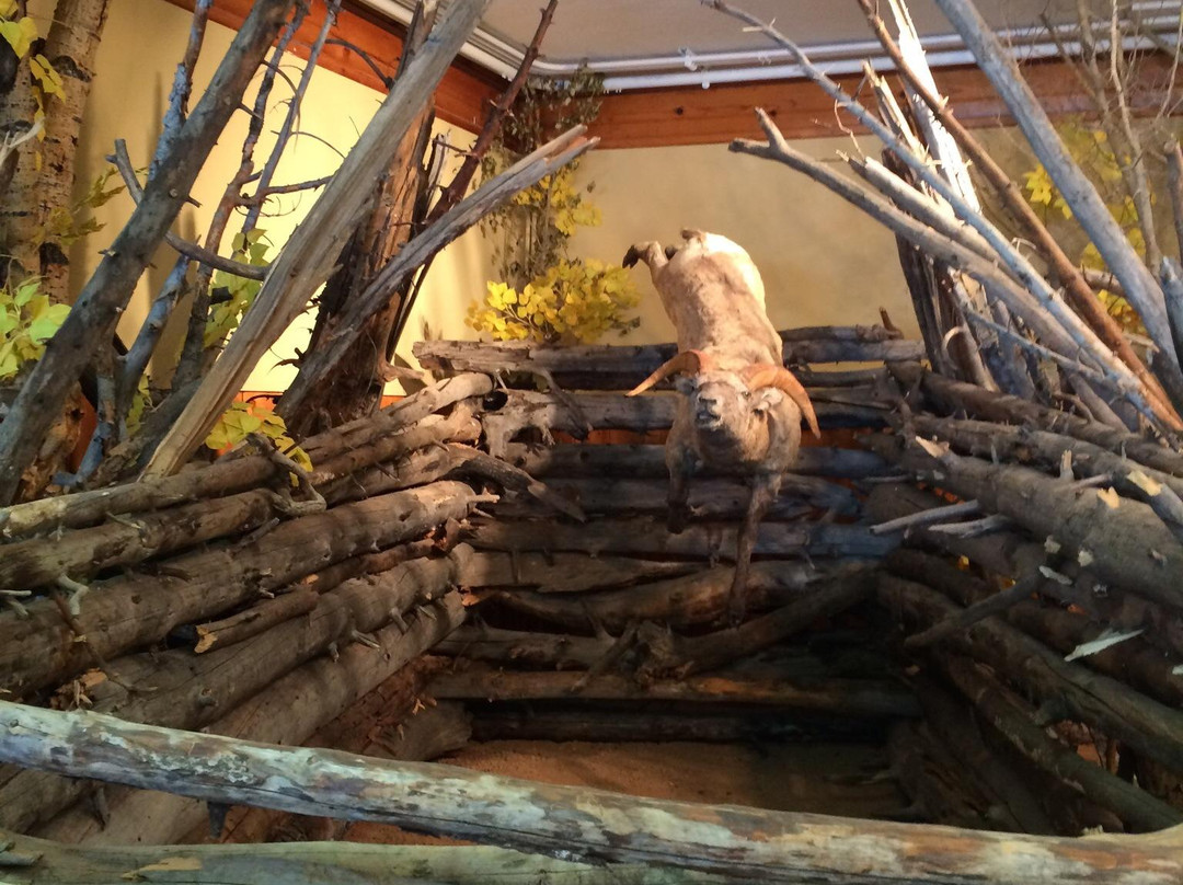 Jackson Hole Historical Society & Museum-杰克逊必去景点