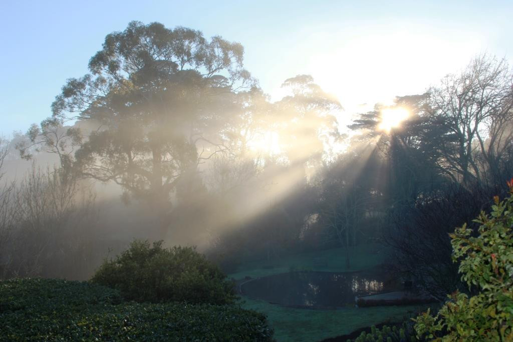 Brim Brim Gardens主图