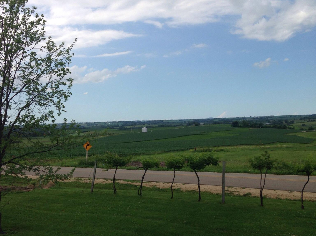 Galena Cellars Vineyard-加利纳必去景点