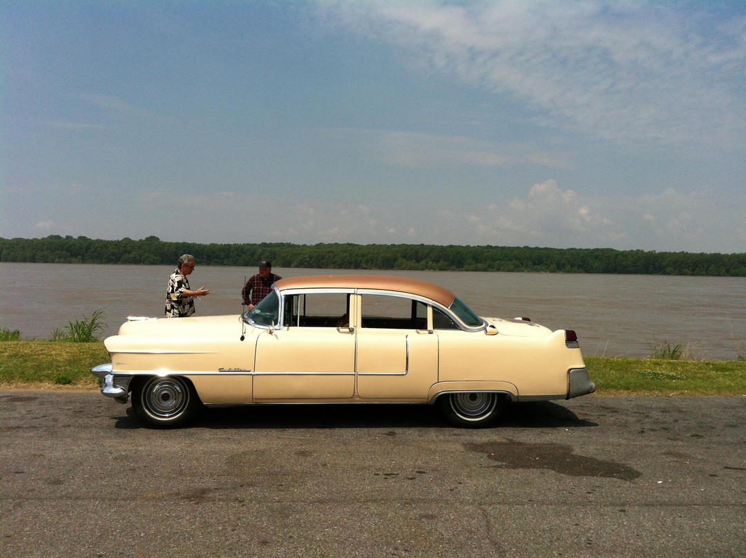 American Dream Safari-孟菲斯必去景点